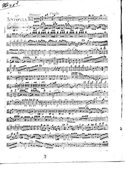 Violas