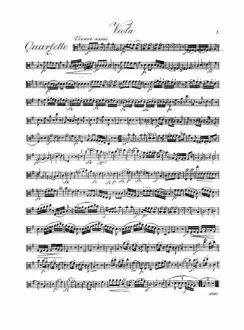 Viola