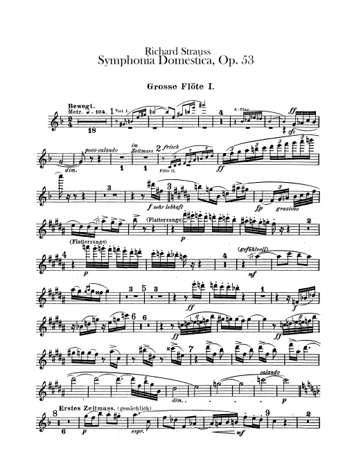 Flute 1