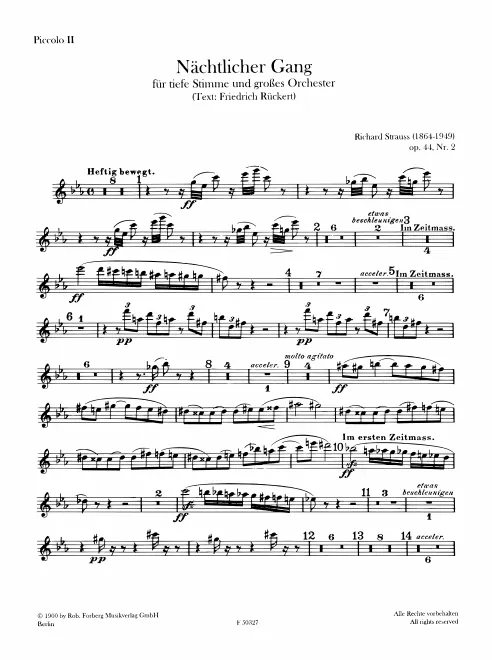 Piccolo 2