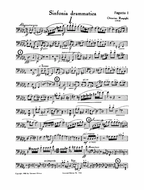 Bassoon 1, 2, Contrabassoon