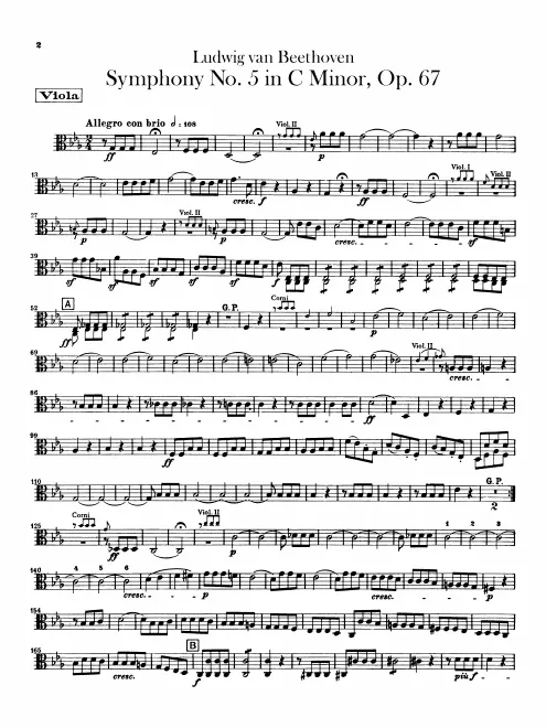 Violas