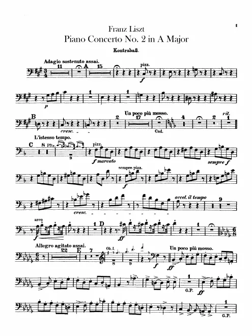 Basses