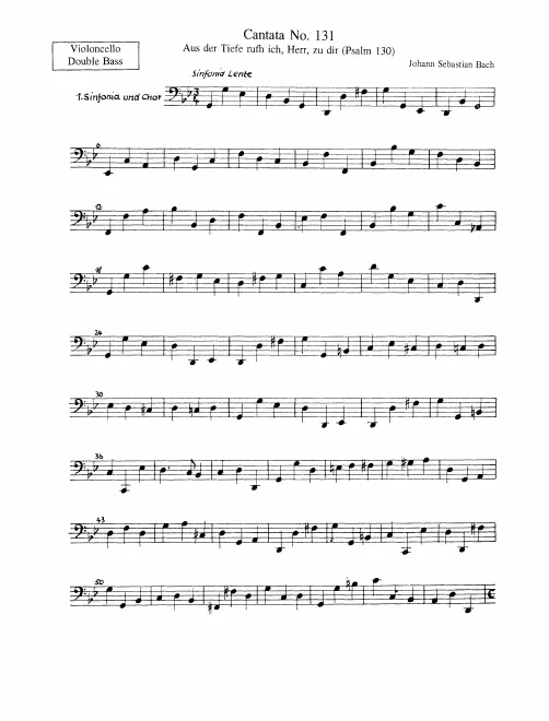 Cellos/Basses