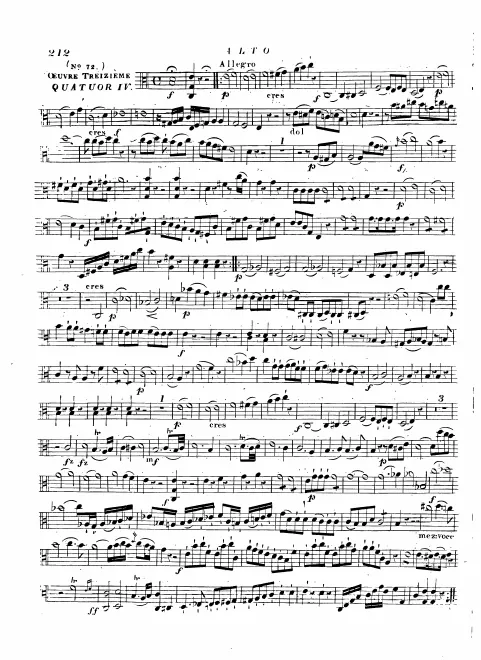 Viola