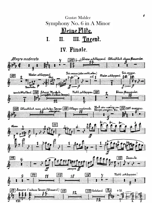 Piccolo 1