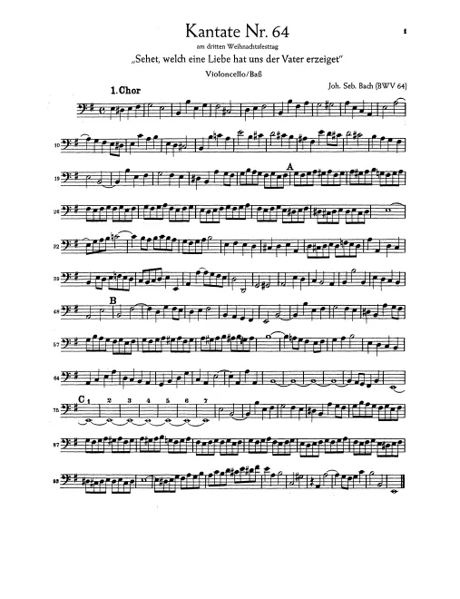 Cellos/Basses