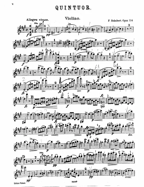 Violin