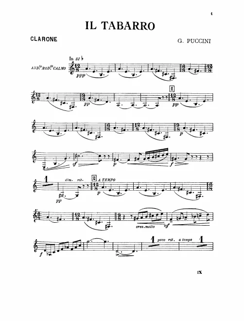 Bass Clarinet (B)