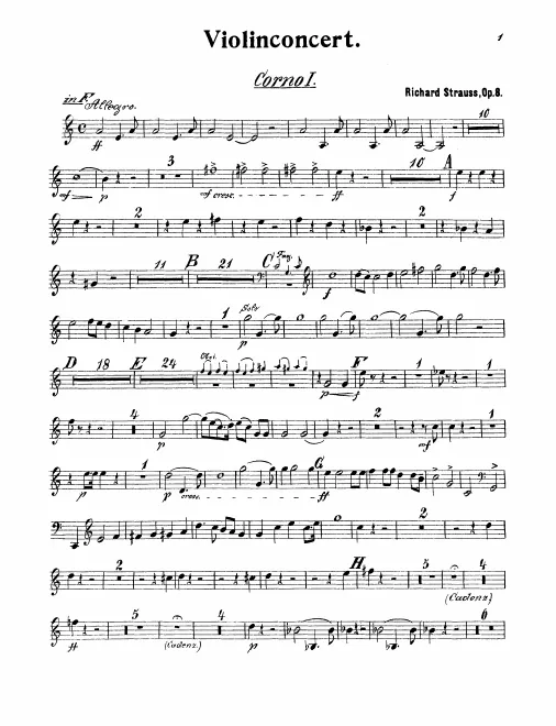 Horn 1, 2 (F/E/A), 3, 4 (D)