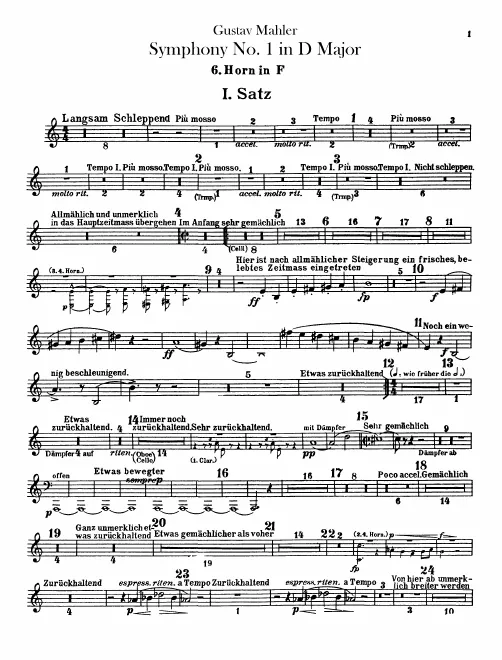 Horn 6 (F)