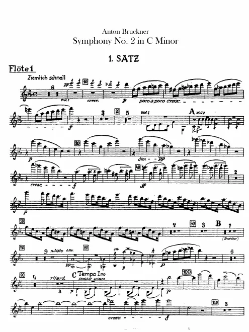 Flute 1