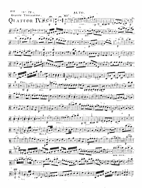 Viola