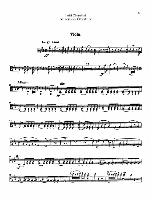Violas