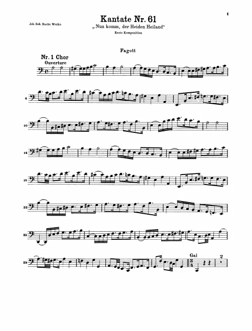 Bassoon