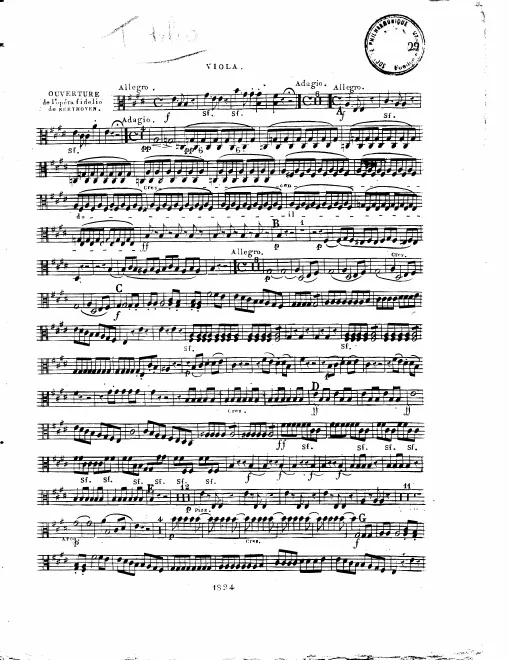 Violas