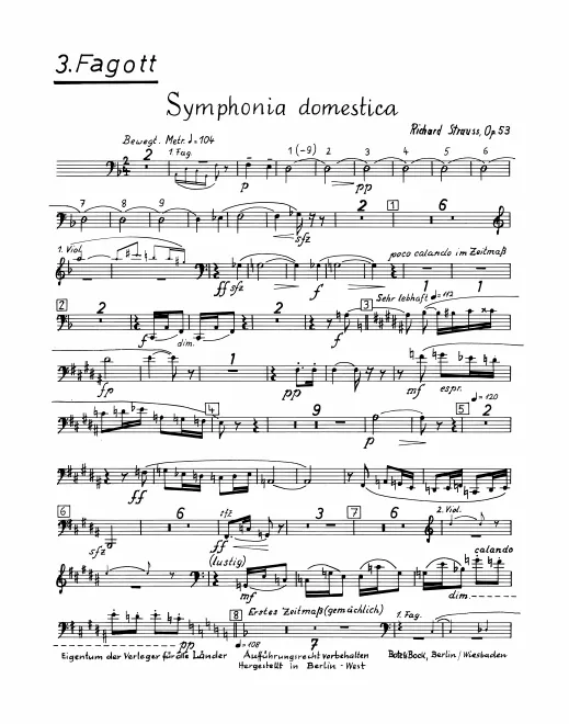 Bassoon 3
