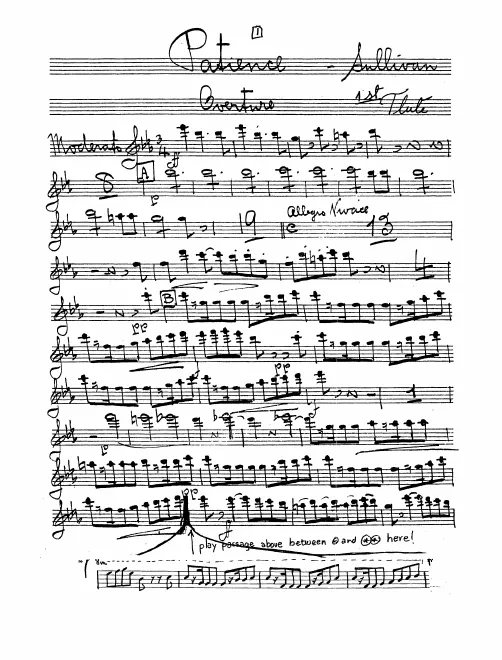 Flute 1