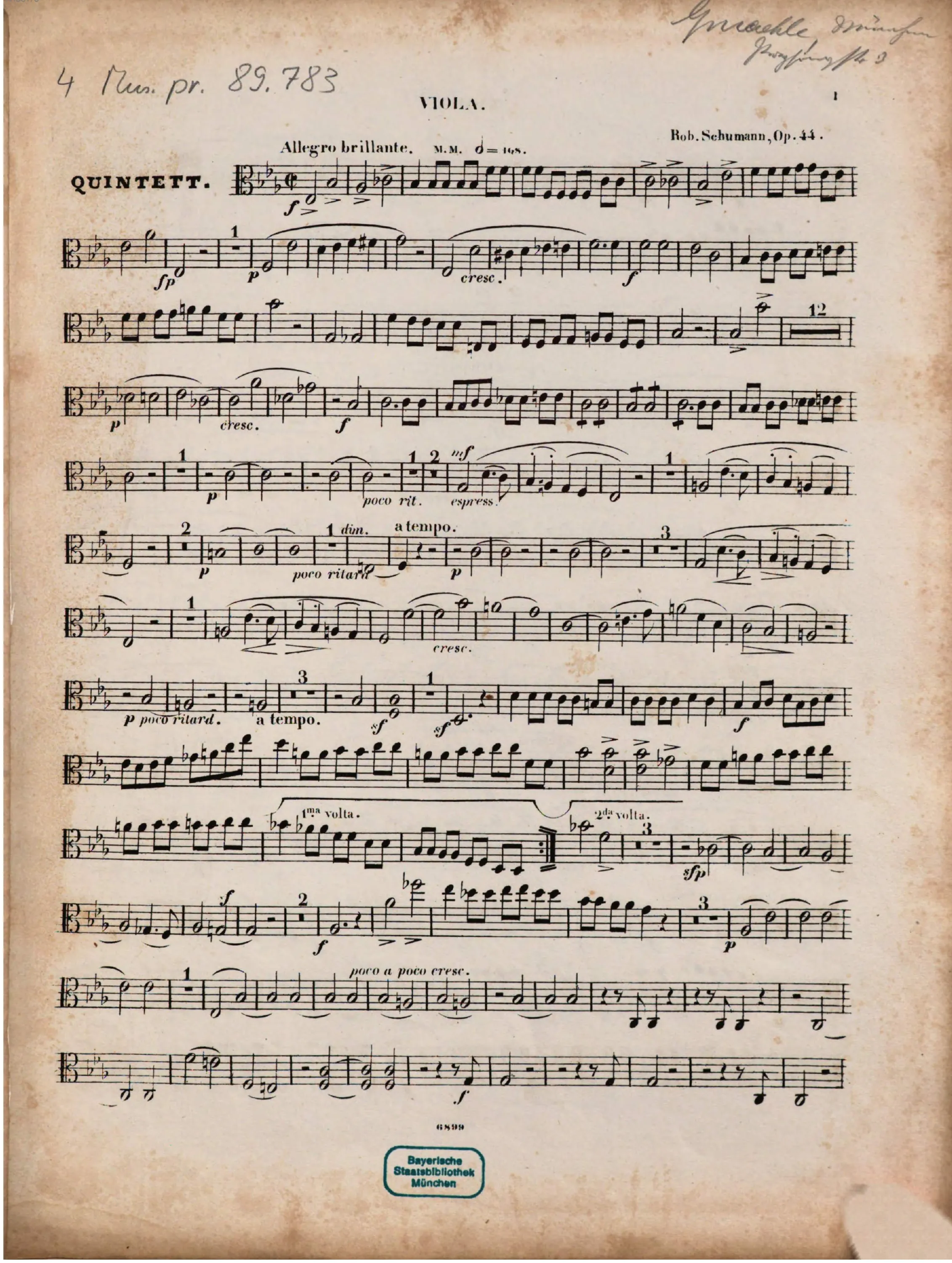 Viola