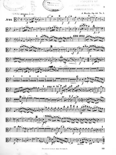 Viola