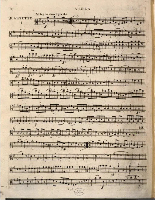 Viola