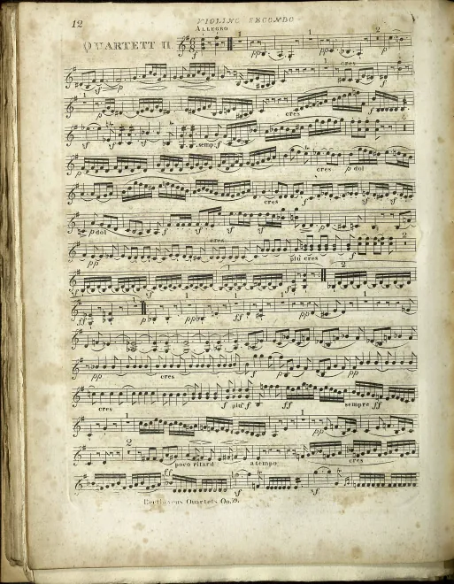 Violin 2