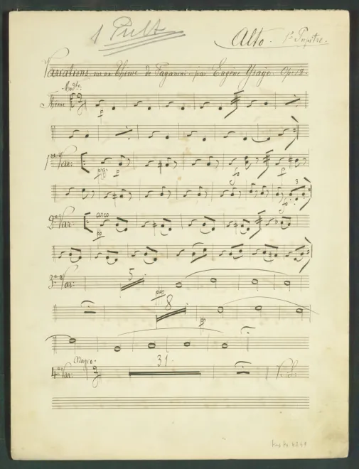Violas