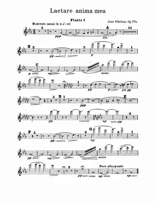 Flute 1, 2