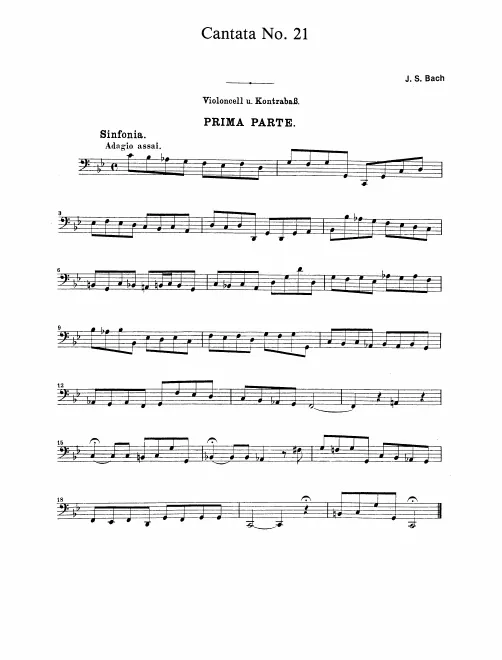 Cellos/Basses
