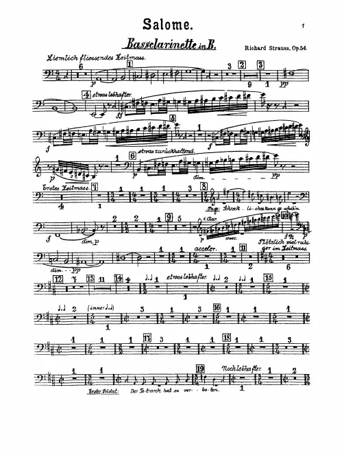 Bass Clarinet (B)