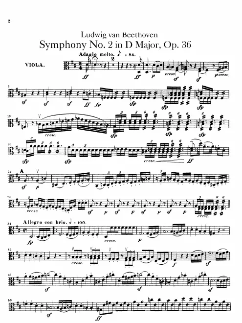 Violas