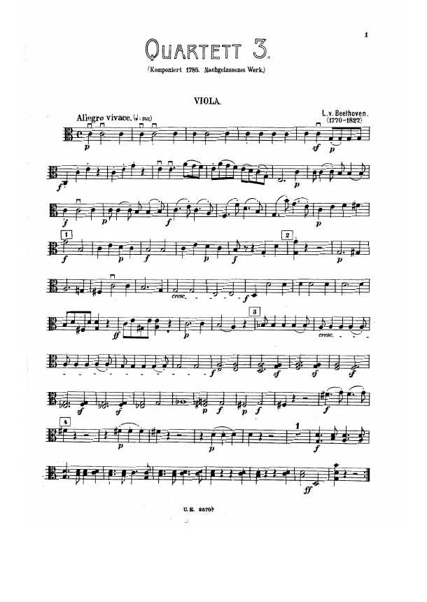 Viola