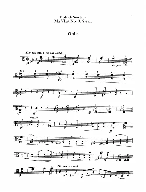 Violas