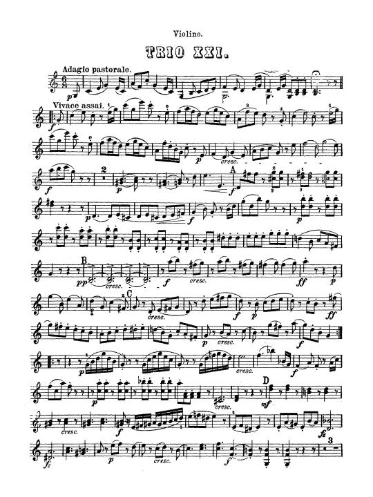 Violin