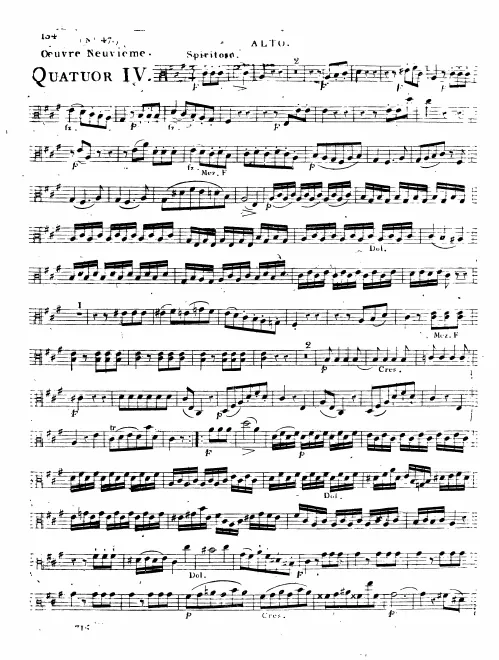 Viola