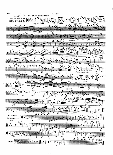 Viola