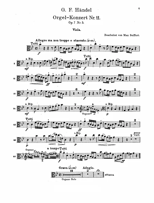 Violas