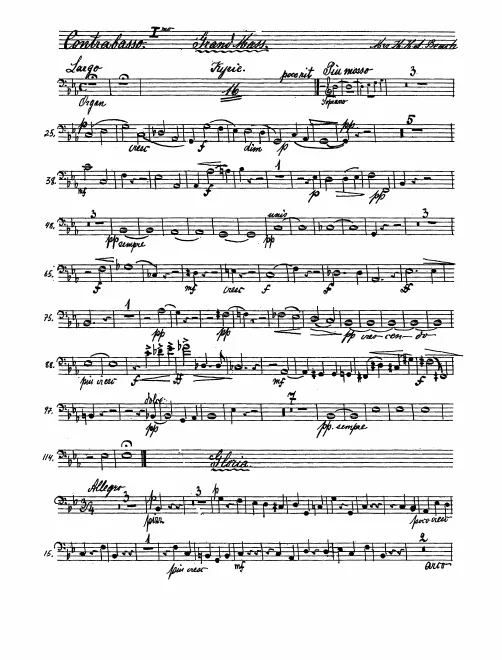 Basses