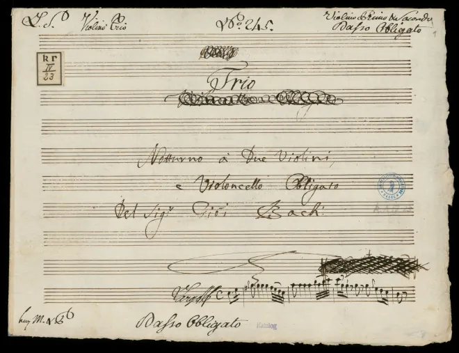 Cello