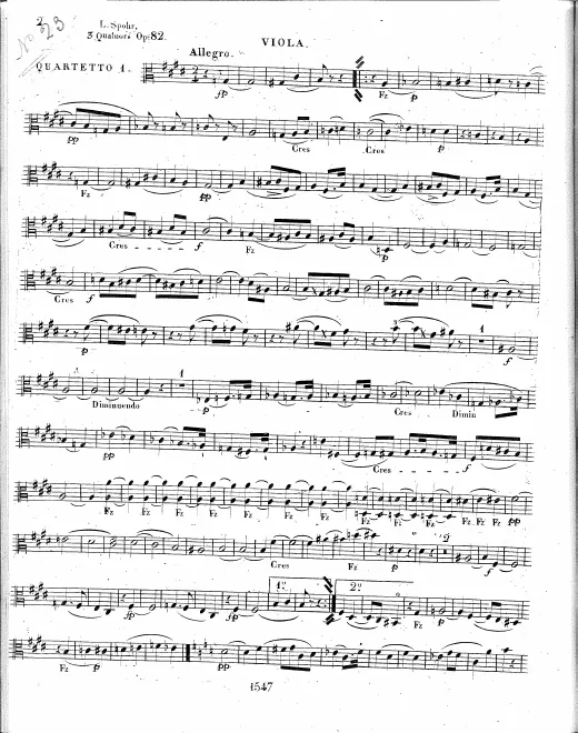 Viola