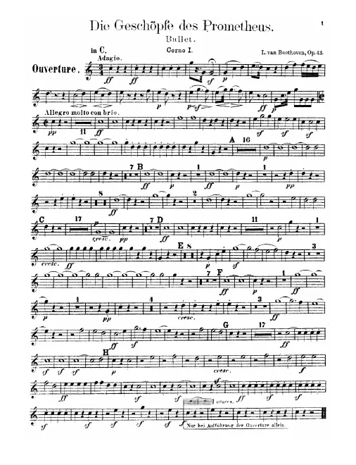 Horn 1 (C/F/B/G/D/E)