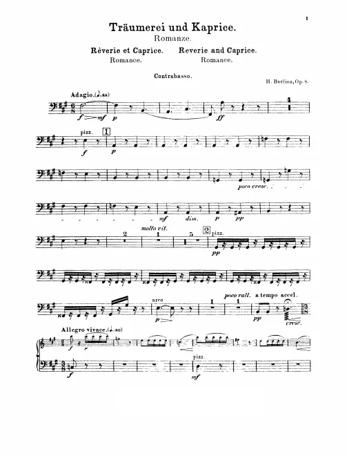 Basses