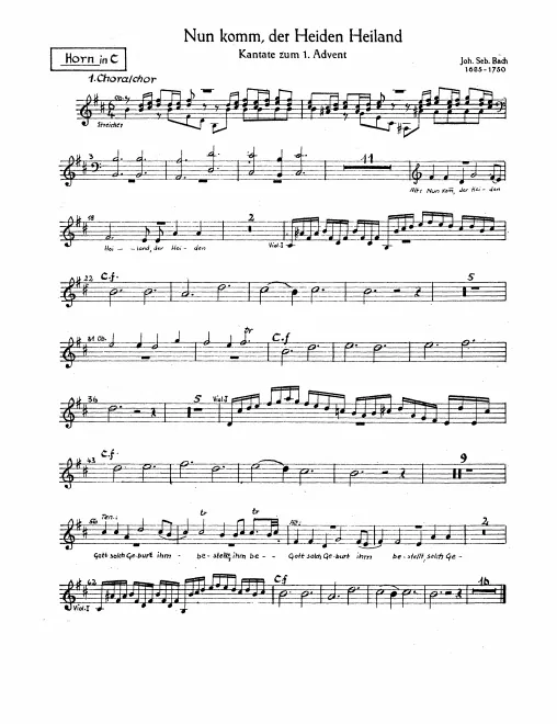 Horn (C)