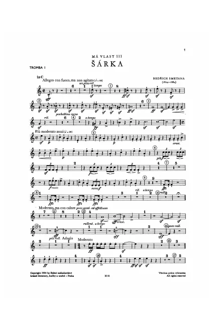 Trumpet 1 (C)