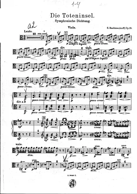 Violas