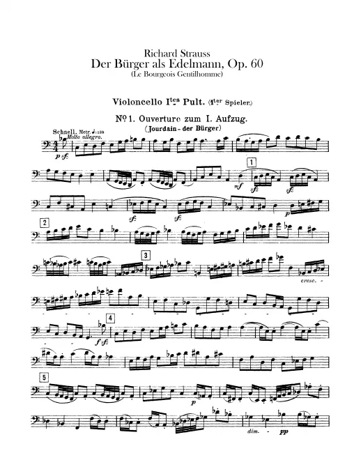 Cello 1 (Player 1)
