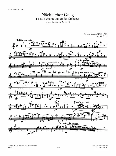 Piccolo Clarinet (E)
