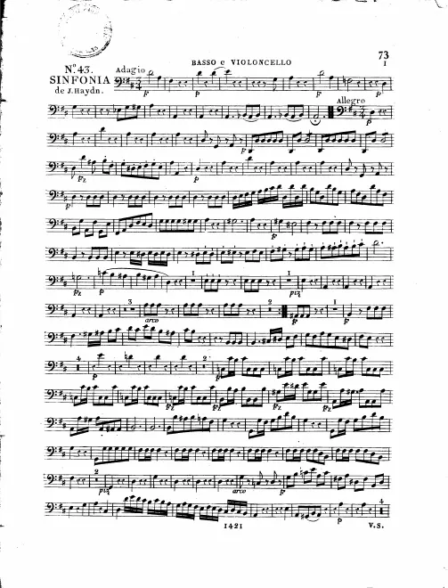 Cellos/Basses