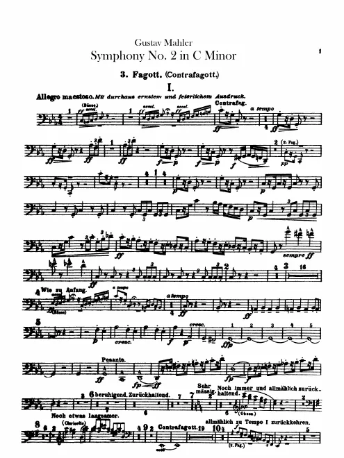 Bassoon 3/Contrabassoon 1