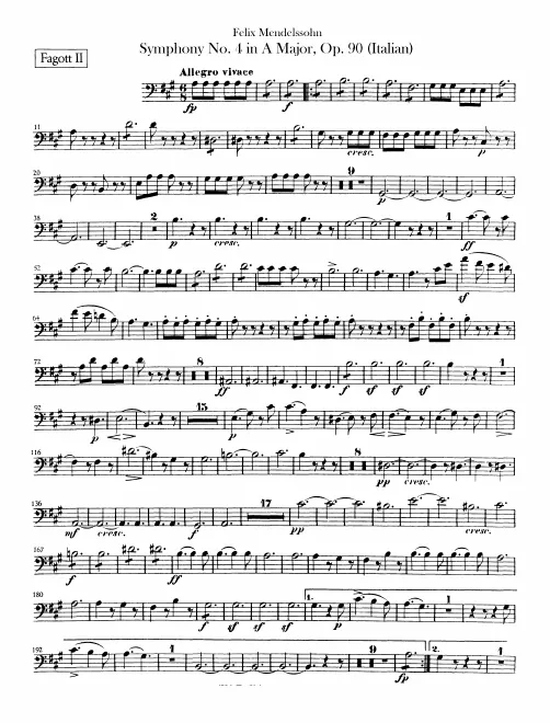 Bassoon 2